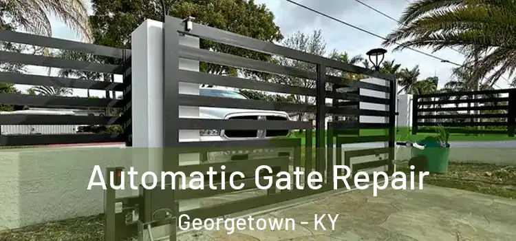 Automatic Gate Repair Georgetown - KY