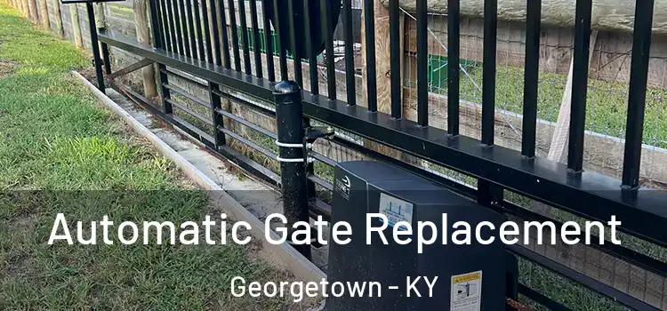  Automatic Gate Replacement Georgetown - KY
