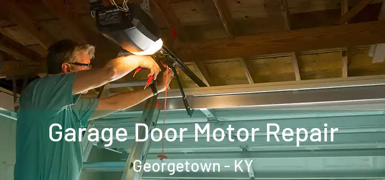  Garage Door Motor Repair Georgetown - KY