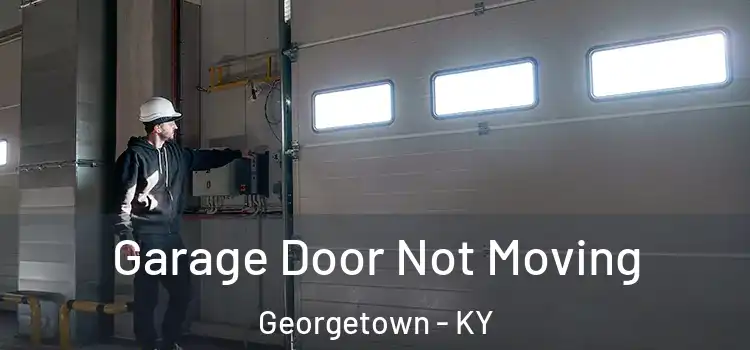  Garage Door Not Moving Georgetown - KY