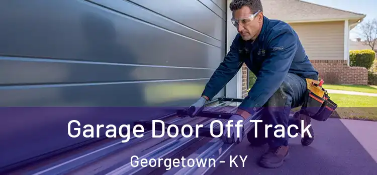  Garage Door Off Track Georgetown - KY