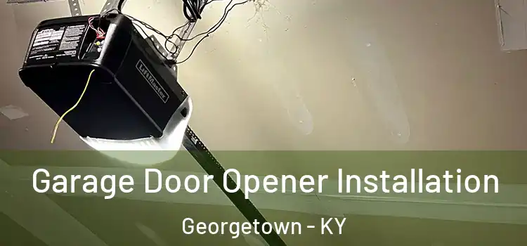  Garage Door Opener Installation Georgetown - KY