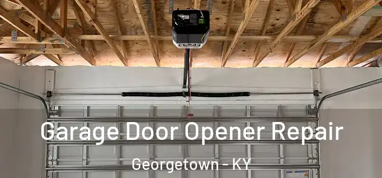  Garage Door Opener Repair Georgetown - KY