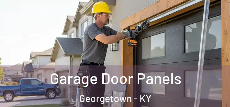 Garage Door Panels Georgetown - KY
