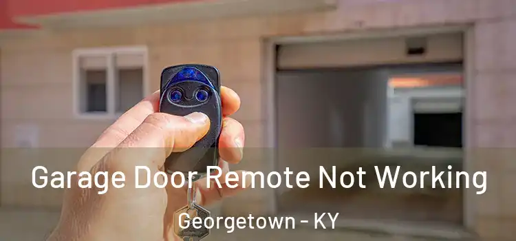  Garage Door Remote Not Working Georgetown - KY