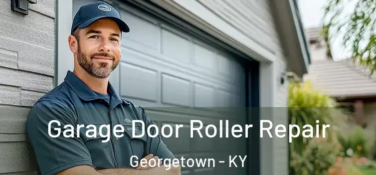  Garage Door Roller Repair Georgetown - KY