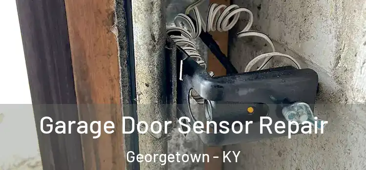 Garage Door Sensor Repair Georgetown - KY