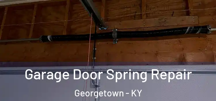  Garage Door Spring Repair Georgetown - KY