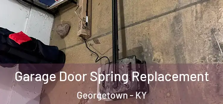  Garage Door Spring Replacement Georgetown - KY