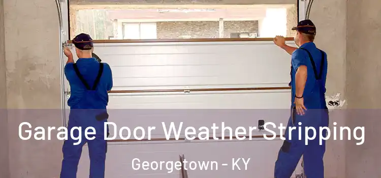  Garage Door Weather Stripping Georgetown - KY