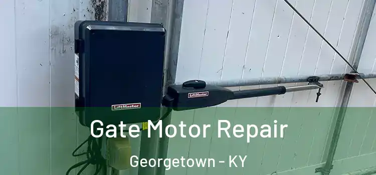 Gate Motor Repair Georgetown - KY