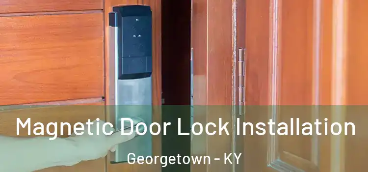  Magnetic Door Lock Installation Georgetown - KY