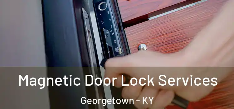  Magnetic Door Lock Services Georgetown - KY