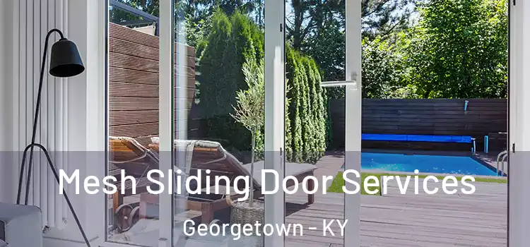 Mesh Sliding Door Services Georgetown - KY