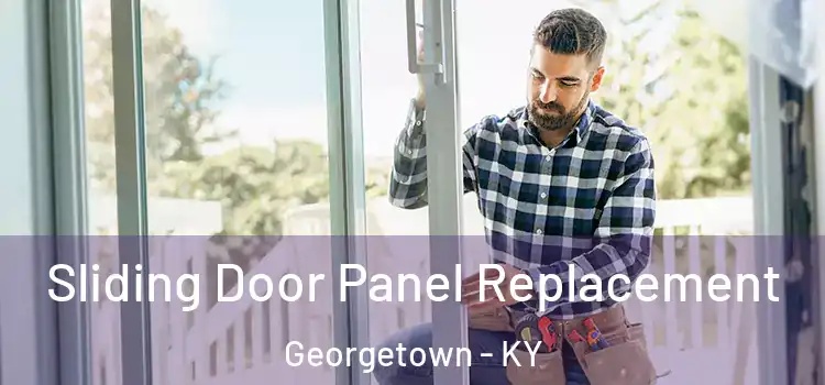  Sliding Door Panel Replacement Georgetown - KY